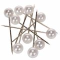 Floristik24 Spilli Testa Perla Bianco Ø15mm 75mm