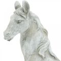 Floristik24 Testa di cavallo busto deco figura cavallo ceramica bianco, grigio H31cm