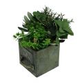 Floristik24 Set di 3 cassetti per piante in lamiera verde antico