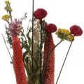 Floristik24 Mazzo di fiori secchi con fiori di prato rosa Set fai da te H30-35cm