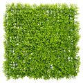 Floristik24 Tappeto di bosso artificiale 55x55 cm per decorazione murale