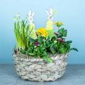 Floristik24 Fioriera in fieno, cesto decorativo, cesto per piante, cesto di fiori ovale set di 3