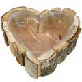 Floristik24 Fioriera, ciotola in legno a forma di cuore, fioriera in legno di betulla, ciotola cuore 27 × 28 cm