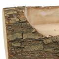 Floristik24 Fioriera in legno di olmo 20 cm x 11 cm H9 cm