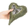 Cuore vegetale in materiale naturale con inserto in lamina, 22 cm, 2 pezzi | Floristik24.it