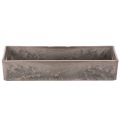 Vassoio rettangolare compatto, versatile per decorazione e coltivazione, 23 cm | Floristik24.it