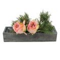 Floristik24 Scatola per piante in legno grigio 30 cm x 9,5 cm x 6 cm