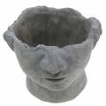 Floristik24 Busto testa di pianta in cemento per piantare grigio H12cm 2 pezzi