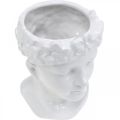 Floristik24 Testa di pianta busto donna vaso di fiori in ceramica bianca H19cm