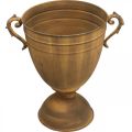 Vaso per piante in metallo effetto ruggine, vaso a tazza in metallo Ø22,5 cm H32,5 cm | Floristik24.it