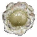 Floristik24 Rosa di cemento, decorazione del giardino, rosa vegetale, fiori funebri grigio, albicocca, viola Ø12cm L26.5cm H11cm
