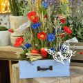Floristik24 Cassettiera per piante in legno azzurro cassetta per piante shabby chic 25×13×8 cm