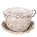 Floristik24 Cestino con tazza e piattino decorativo, grande decorazione da tavola 34 cm