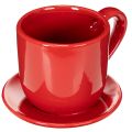 Floristik24 Grande tazza decorativa con piattino, adatta anche come vaso per piante, 17 cm