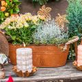 Floristik24 Vaso per piante con manici, ciotola per erbe aromatiche, decorazione autunnale, patina L28cm H11cm