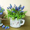 Floristik24 Vaso per fiori tazza cachepot vintage grigio, argilla naturale Ø8.5cm H8cm 4pz