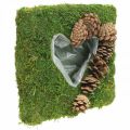 Cuscino per piante cuore muschio e coni quadrati 25 × 25 cm