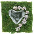 Floristik24 Cuscino per piante cuore muschio e pigne, bianco lavato 25 × 25 cm