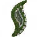 Floristik24 Fioriera muschio e coni verde onda, bianco lavato 41 × 15 cm