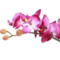 Floristik24 Orchidee artificiali in vaso Phalaenopsis fiori artificiali orchidee rosa 34 cm