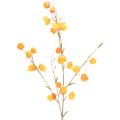 Floristik24 Pianta artificiale di lanterna cinese, ramo di Physalis con fiori, 95 cm