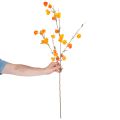 Pianta artificiale di lanterna cinese, ramo di Physalis con fiori, 95 cm | Floristik24.it