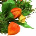 Ghirlanda di physalis artificiale, arancione e verde, Ø28 cm, decorazione autunnale | Floristik24.it