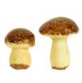 Floristik24 Mushroom Mix Brown 24 pezzi