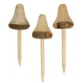 Floristik24 Funghi di legno da attaccare 20 cm 6 pezzi