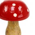 Floristik24 Fungo fungo in legno rosso 15,5 cm