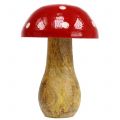 Floristik24 Fungo fungo in legno rosso 15,5 cm