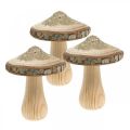 Floristik24 Corteccia di funghi in legno e legno di funghi deco glitter H8.5cm 4 pezzi