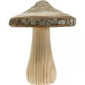 Floristik24 Corteccia di funghi in legno e funghi decorativi glitterati in legno H11cm 3 pezzi