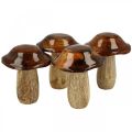 Floristik24 Deco fungo legno di mango decorazione autunnale Ø7cm H9cm 4 pezzi