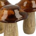 Floristik24 Deco fungo legno di mango decorazione autunnale Ø7cm H9cm 4 pezzi