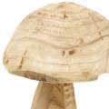 Floristik24 Fungo legno di paulonia Ø16cm H18cm
