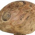 Floristik24 Fungo, legno di paulonia, autunno, decorazione in legno Ø18–20cm H28cm