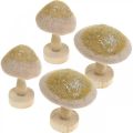 Floristik24 Decoro in legno di funghi, feltro con decorazione da tavola glitterata Avvento H11cm 4 pezzi
