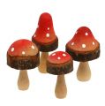 Floristik24 Funghi dal mix di legno 5,5 cm - 8 cm 8 pezzi