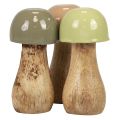 Floristik24 Funghi in legno funghi decorativi legno beige, verde Ø5cm H10,5cm 6 pezzi
