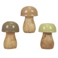 Floristik24 Funghi in legno funghi decorativi legno beige, verde Ø5 cm 7,5 cm 12 pezzi