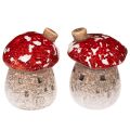Floristik24 Decorazione per la casa a forma di fungo: Amanita muscaria in miniatura, 6 cm, 2 pezzi