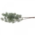 Floristik24 Rami di Natale Ramo di pino innevato 54 cm 3 pezzi in mazzo