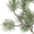 Floristik24 Ramo natalizio ramo deco ramo di pino nevicato 77 cm