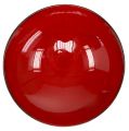 Floristik24 Ciotola decorativa rotonda rossa Ø22cm H6,5cm