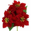 Floristik24 Poinsettia bouquet velluto rosso 35cm