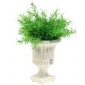 Floristik24 Vaso per piante crema antico Ø14cm H17cm