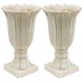 Floristik24 Anfora decorativa, calice per piantare, calice vaso per piantare tulipani Ø12cm H25,5cm 2 pezzi