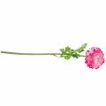 Floristik24 Ranunculus rosa artificiale 48cm