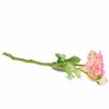 Floristik24 Ranuncolo fiore e bocciolo rosa artificiale 34cm